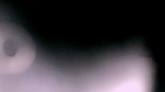 goddess_athena69 webcam