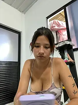 FerneyManti webcam