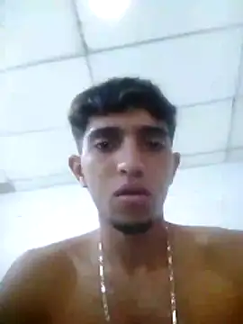Noscay webcam