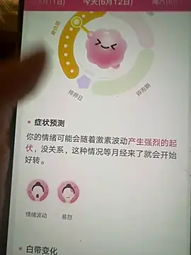 xiaozhu-668