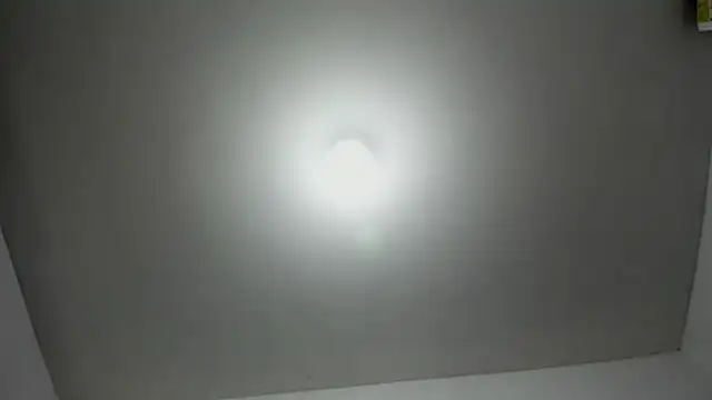 DilanAndKing webcam