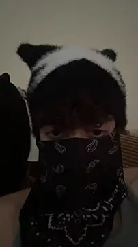 Hz1Tr webcam