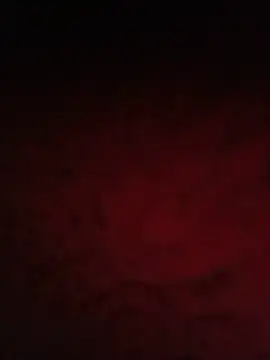 NIANIAKUTE webcam
