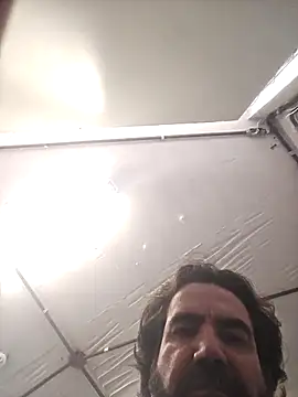 MysterBearMG webcam
