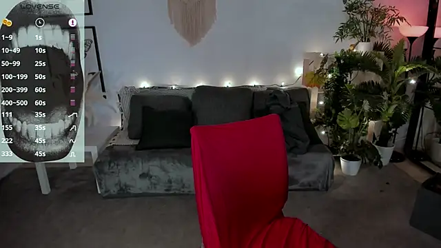 evathority webcam