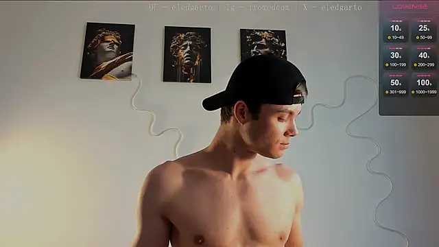 fromed webcam