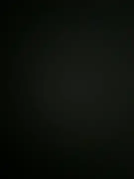 Kalisto2026 webcam