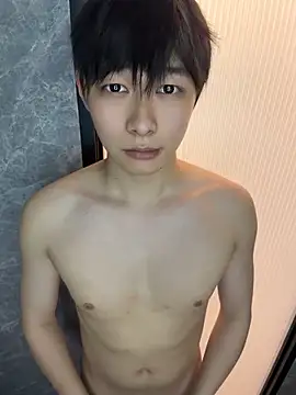 Vi_1314 webcam