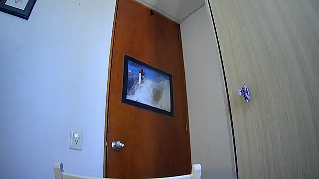 DanaaCollins webcam