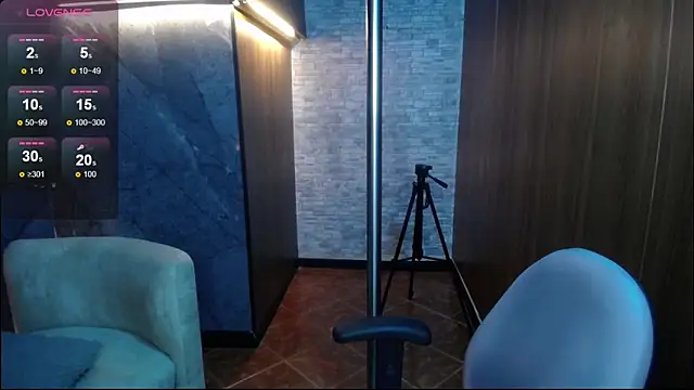 ariel_1_ webcam