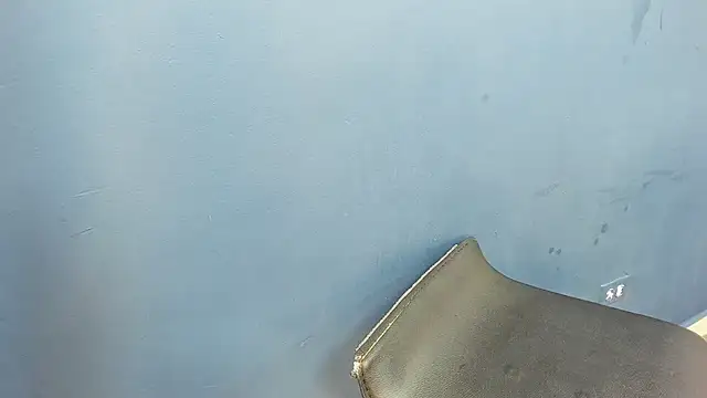 Charlie___Musk webcam