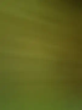 Cute-girl__ webcam