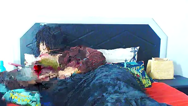 Bulkyyass webcam