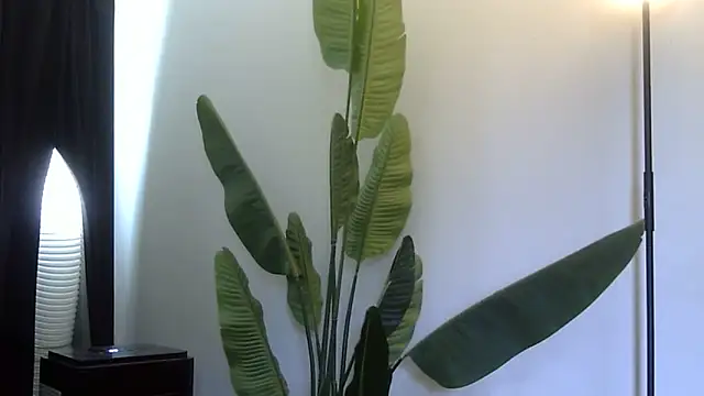 WetFlower69 webcam