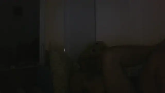 vitalik66679 live cam on StripChat