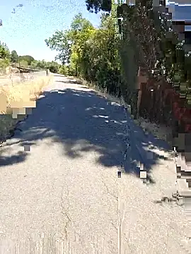 415cali925 webcam