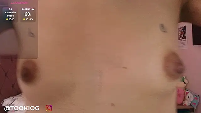 TOOKIOG_ webcam