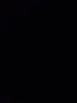 Placeri webcam