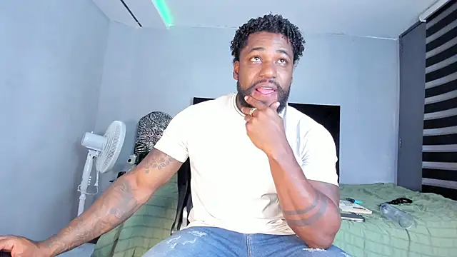 Dancelwashington webcam
