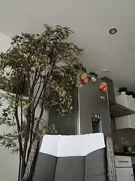 Michel_huge webcam
