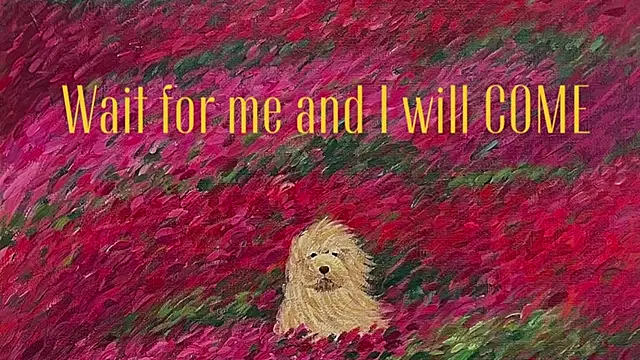 girl_u_never_met webcam