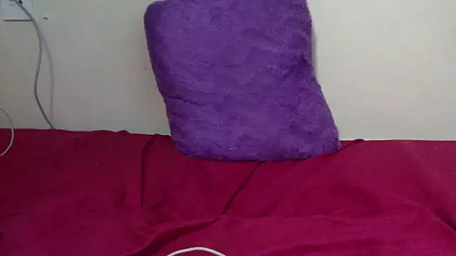 ndiwashu2024 webcam