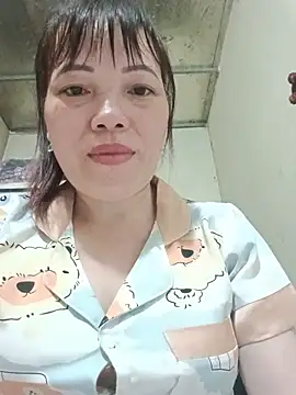 Sana-vn webcam