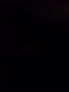 Placeri webcam