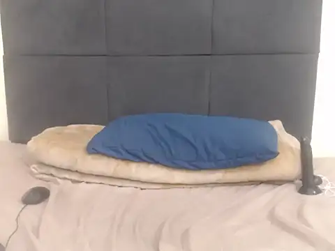 CronicaDass webcam
