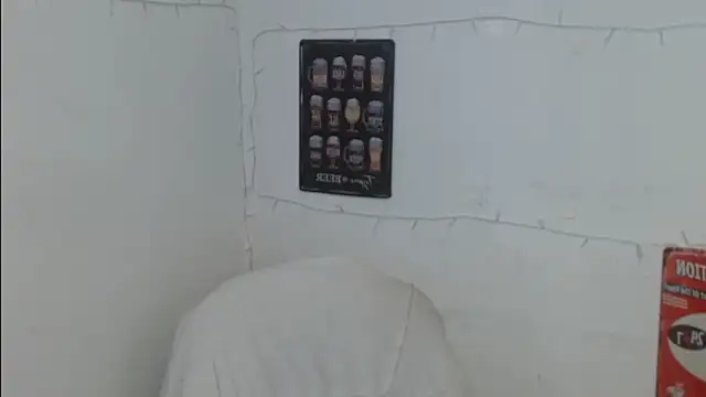 Evanss_lx webcam