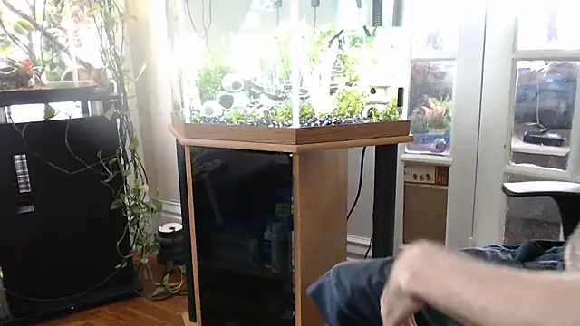 EspanolVato webcam
