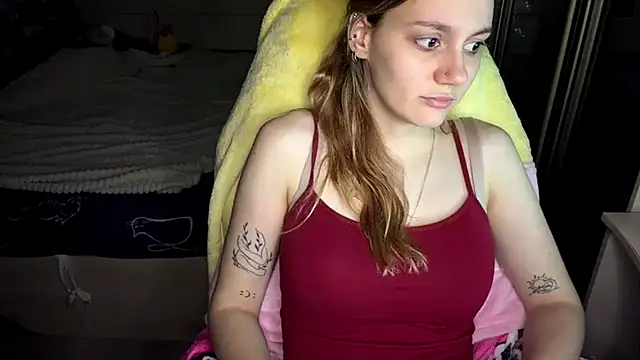 HailingAccess webcam