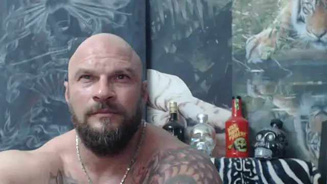 viking_30 webcam