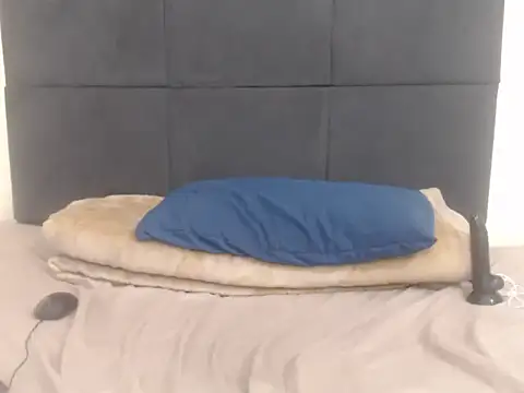 CronicaDass webcam