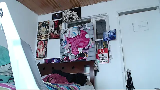 Cortana2_0 webcam