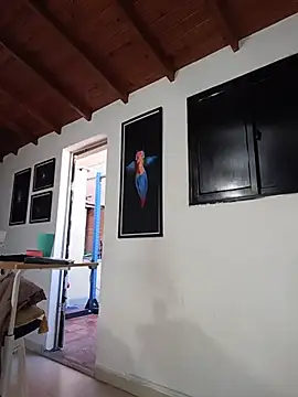 SilvaBranko webcam