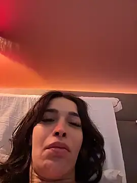 DarkDesin webcam