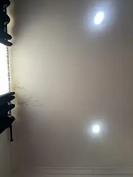 pawmistry webcam