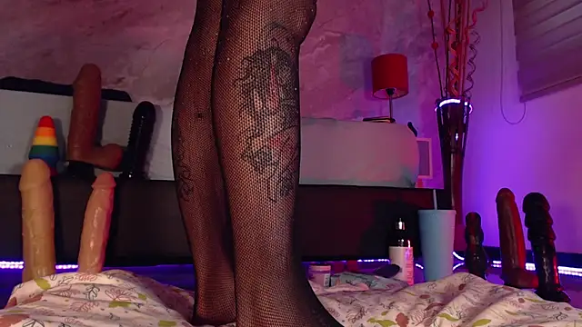 catmolly_ webcam
