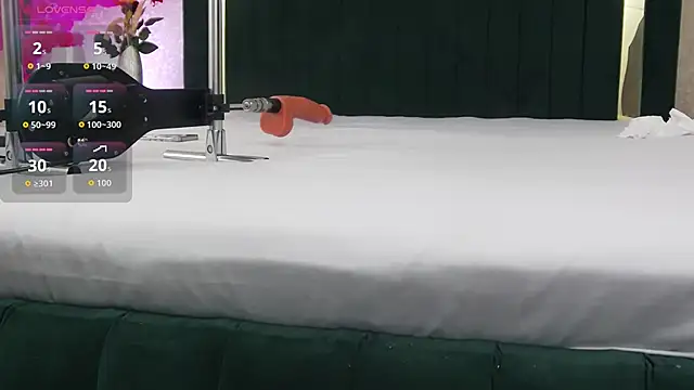 RubbiDark webcam