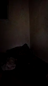 trans511 webcam