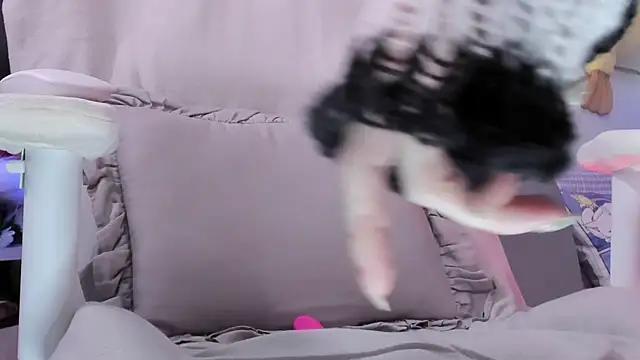 Supaidagaru webcam