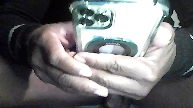 perlados webcam