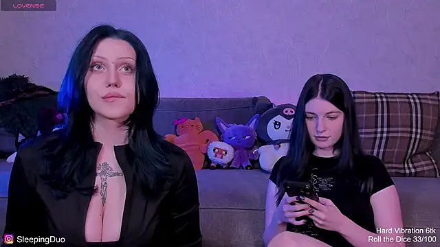 SleepingDuo webcam