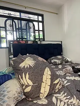 Aylin-fire webcam