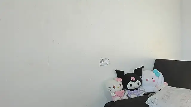 Eirlysx webcam