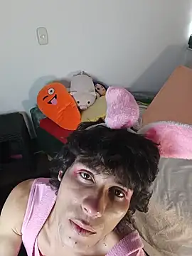 LittleTymmy webcam