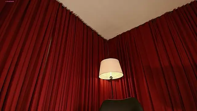Alice-blaker webcam