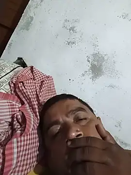 deshilnd webcam