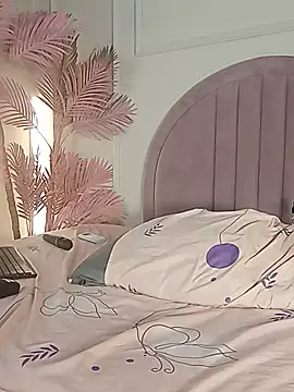 Nalapalmer webcam